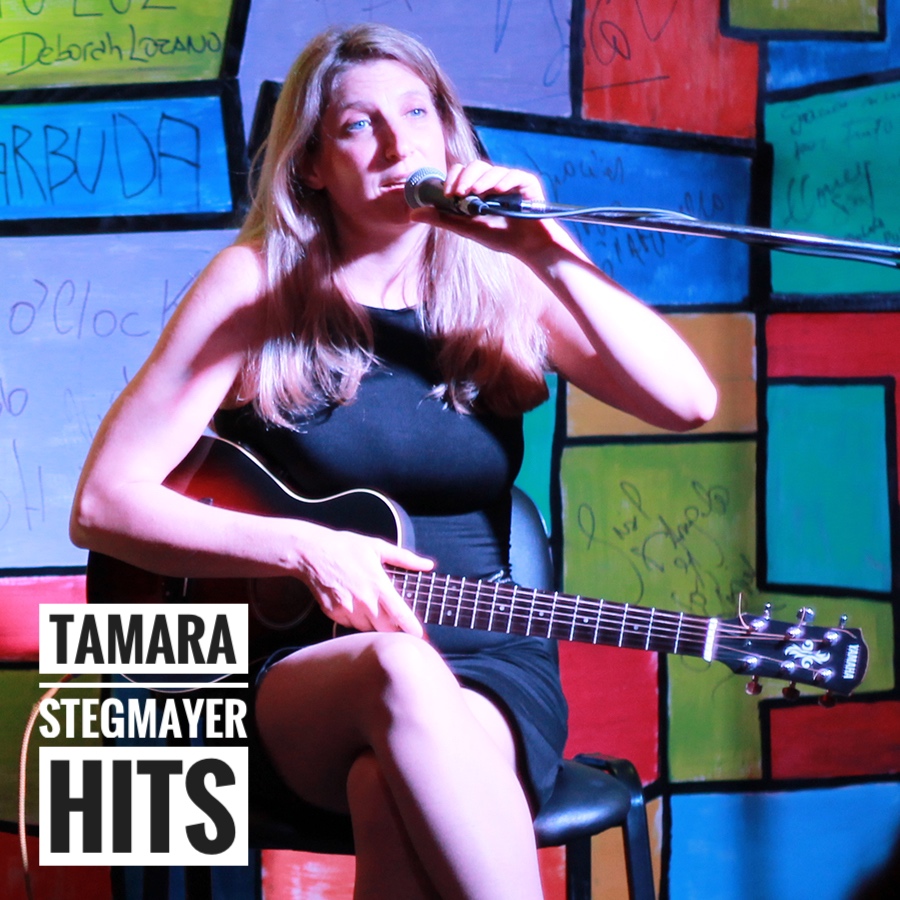 Tamara Stegmayer HITS